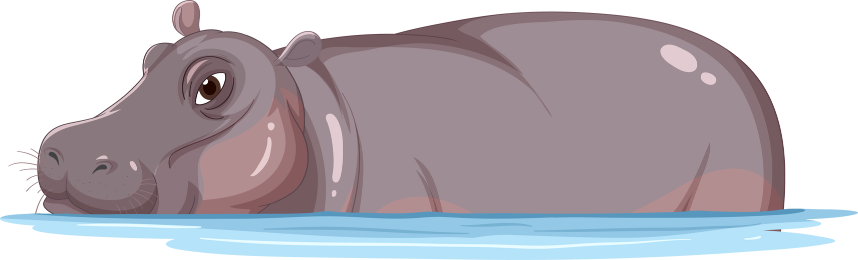 Hippopotamus in the Water